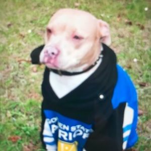 Meet your Posher, Cadyn